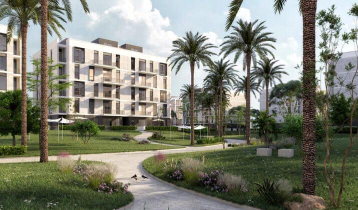 وان 33 زايد الجديدة