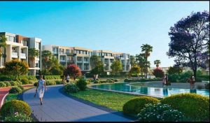 بالم هيلز بي اكس Palm Hills PX