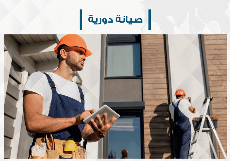 سيسلى زايد الجديدة