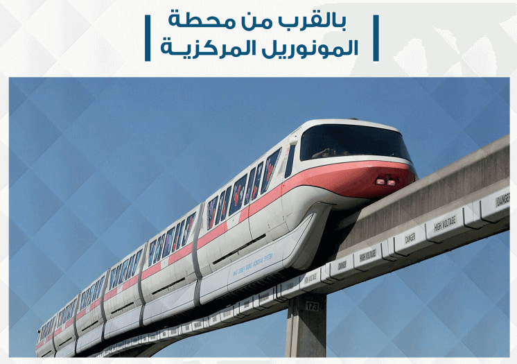 سيسلى زايد الجديدة