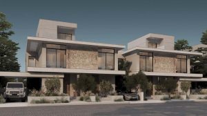 مشروع بيبول اند بليسيز زايد