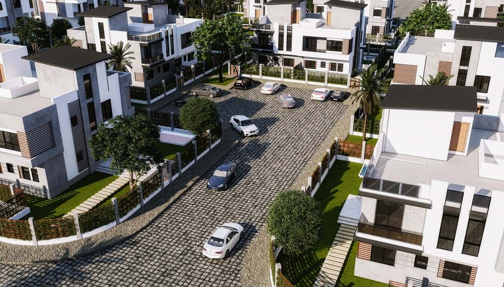 تي بيرل زايد الجديدة