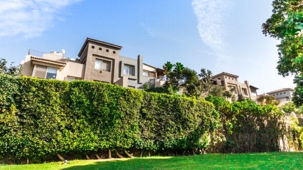 بامبو بالم هيلز 6 اكتوبر