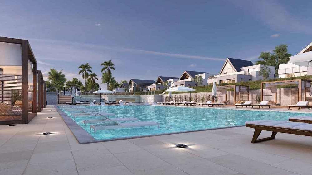 نوفيلا الشيخ زايد