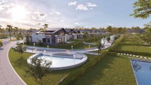 مشروع شركة الكارما الشيخ زايد