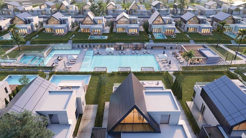 نوفيلا الشيخ زايد