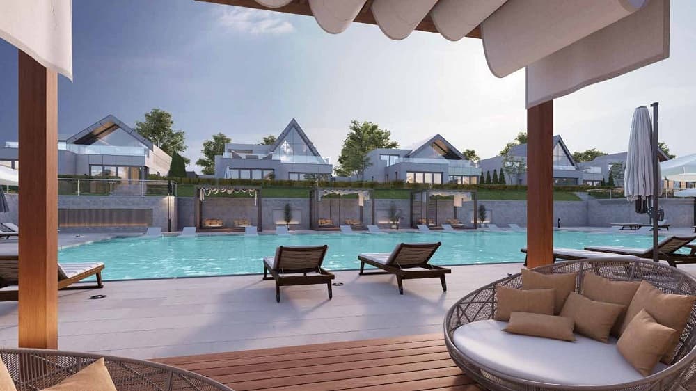 نوفيلا الشيخ زايد