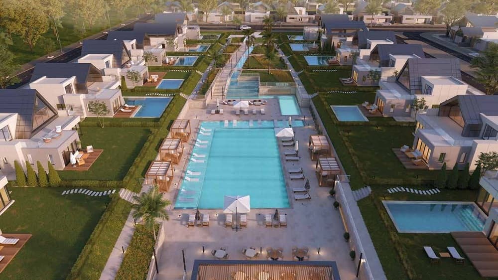 نوفيلا الشيخ زايد Novella